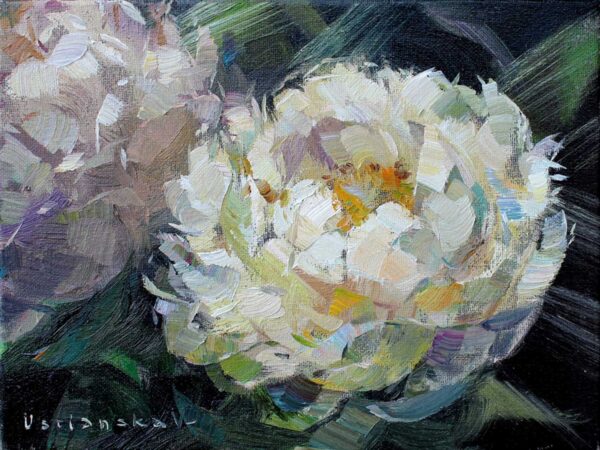 White peonies. Christmas DISCOUNT 20% OFF