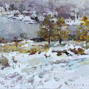 The April snow on the lake Cuyamaca