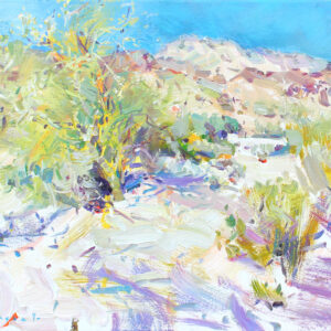 Sunny morning in Palm Spring