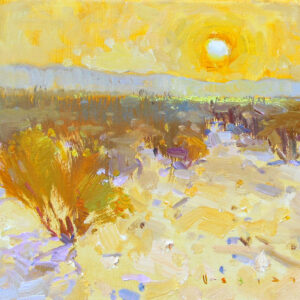 The Spirit of Desert